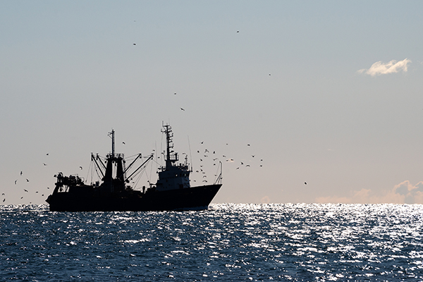 Article image for Global analysis of where fishing vessel tracking devices are disabled provides insights into IUU fishing