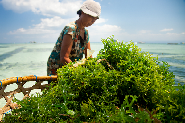 aquaculture needs a stronger voice