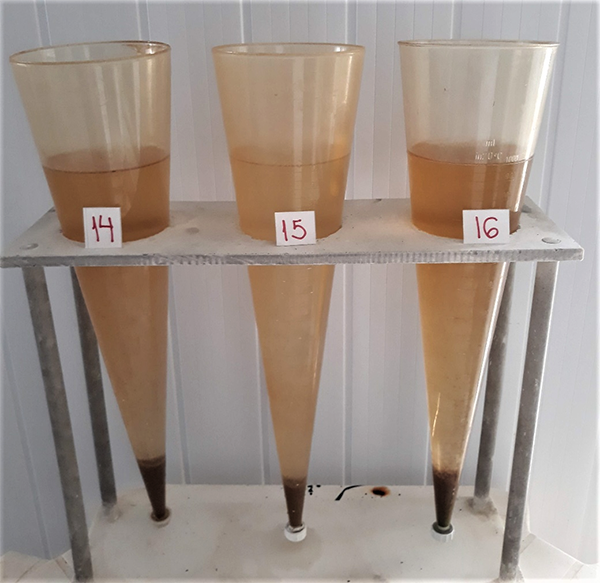 Measuring biofloc volumes using Imhoff cones.