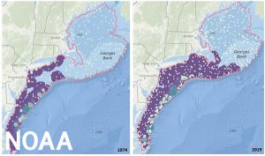 NOAA launches mapping tool for marine species to prepare for climate change