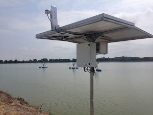 BioMar acquires intelligent feeding technology for shrimp farming industry