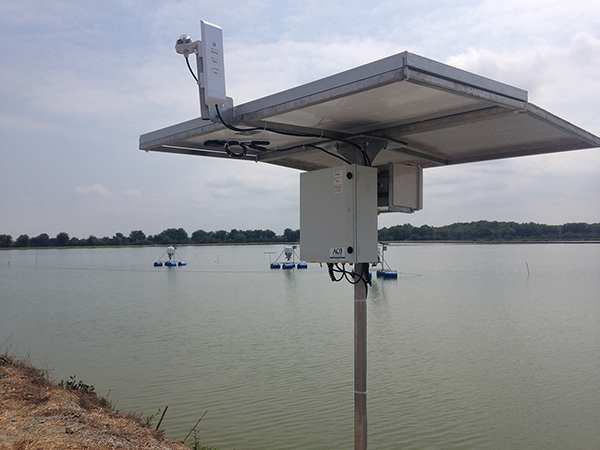 Article image for BioMar acquires intelligent feeding technology for shrimp farming industry