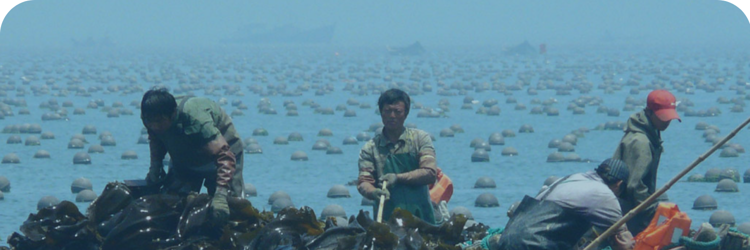 environmental impact of aquaculture banner
