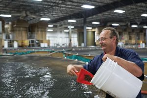 AquaBounty’s climate-smart aquaculture helps fish flourish