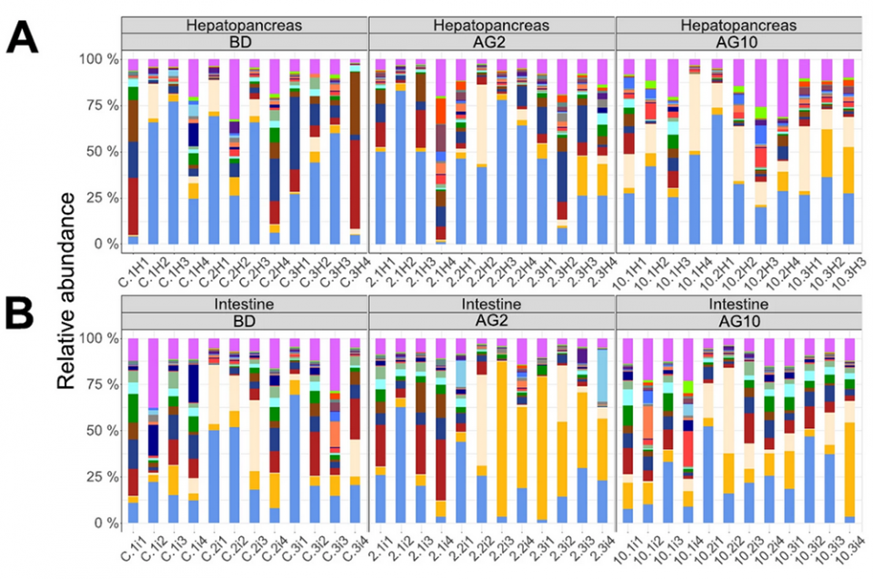 Fig. 1: Diversidad taxonómica y abundancia de las 35 muestras secuenciadas a nivel de familia. El gráfico de barras apiladas representa la abundancia relativa de (A) muestras de hepatopáncreas y (B) de intestino. Modificado del original.