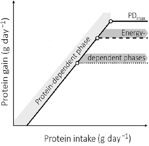 Fig. 1: In terrestrial monogastric animals, protein gain is often described by a linear–plateau model. This model presumes that protein gain is either limited by protein intake (protein-dependent phase, light grey area) or by energy intake (energy-dependent phases, dark grey area). At low (image) and high (image) energy intake, protein gain levels off at different levels. This suggests the existence of an optimal protein-to-energy ratio at the inflection points of protein deposition (image). At even higher protein and energy intake, protein deposition is thought to be limited by a maximal protein deposition capacity (PDmax).