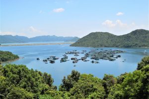 Net carbon emissions and economic growth of marine aquaculture in China