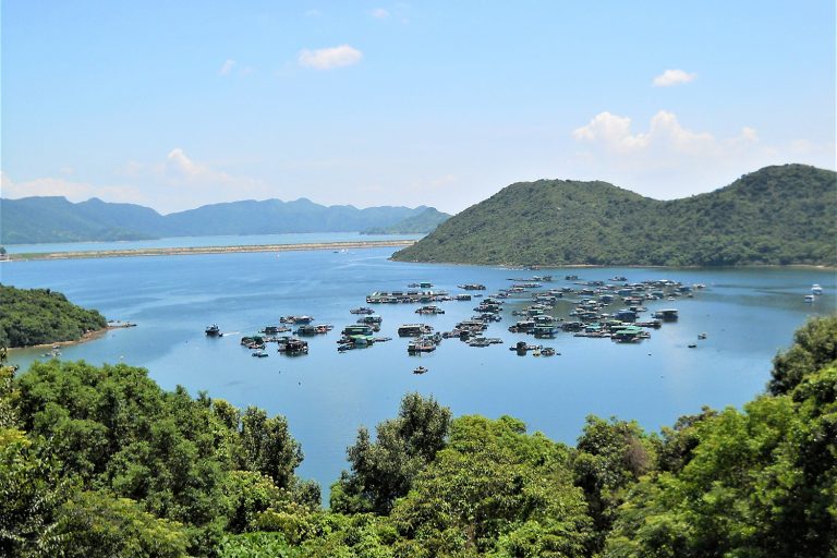 Article image for Net carbon emissions and economic growth of marine aquaculture in China