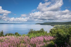 Cape Breton oyster farming