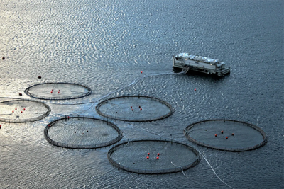 Report: With the right technology, ocean renewable energy can power ...