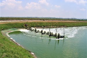 A comparison of resource use in shrimp farming, part 3: Energy