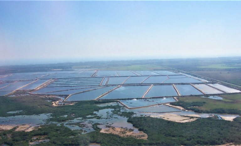 Article image for Una comparación del uso de recursos en el cultivo de camarones, parte 2: Agua