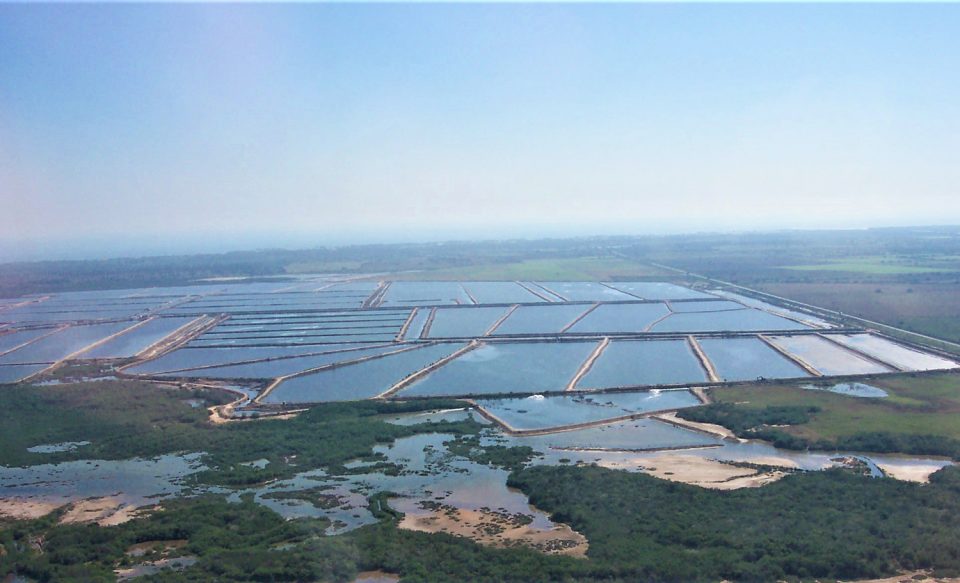 water use in shrimp farming