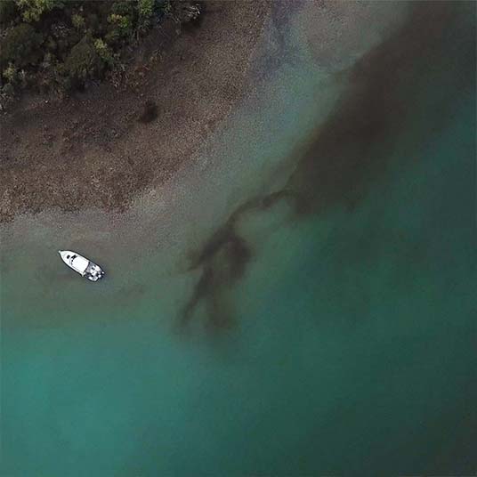 Article image for Harmful algal blooms could threaten New Zealand’s shellfish aquaculture productivity