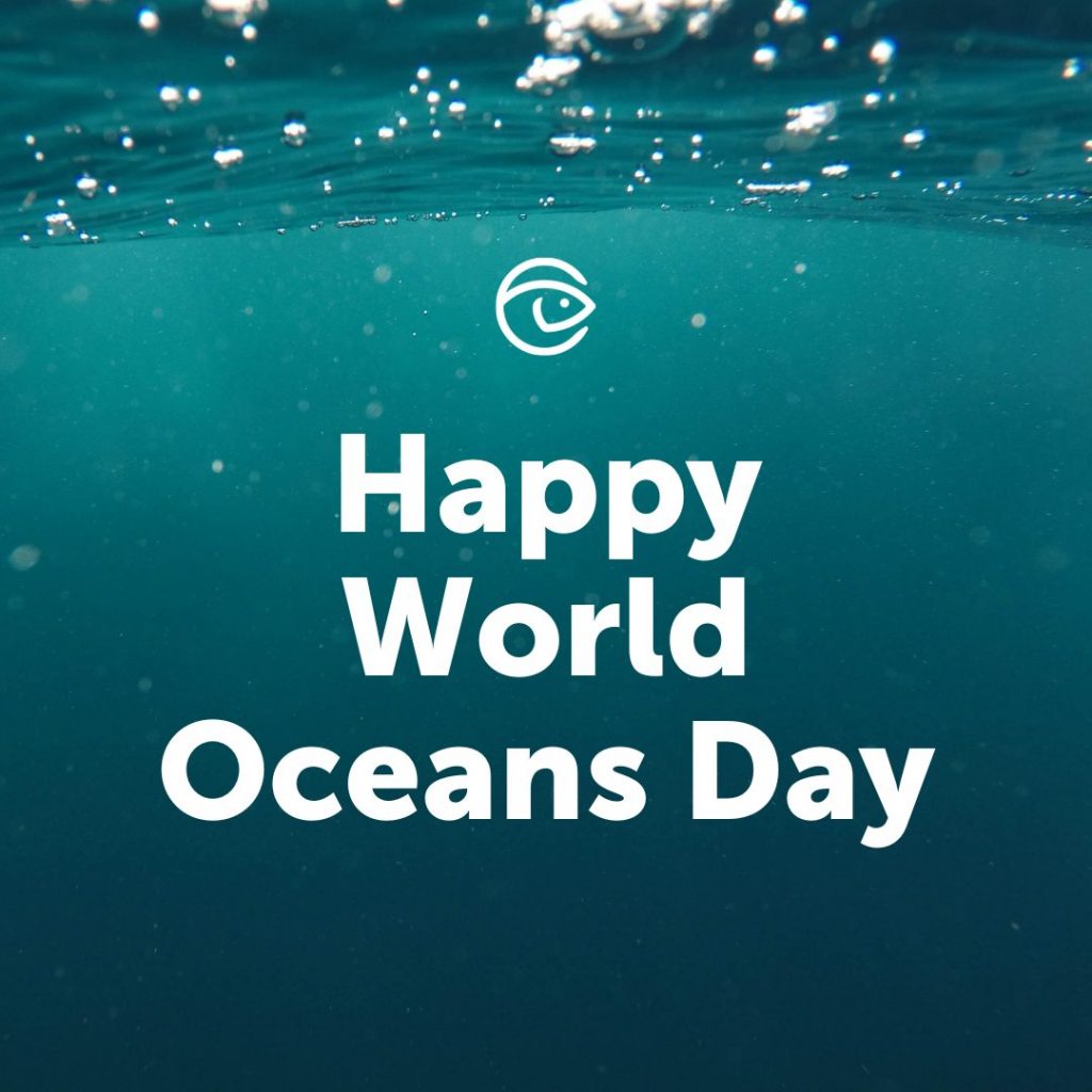 Article image for Celebrate World Oceans Month 2022 with GSA