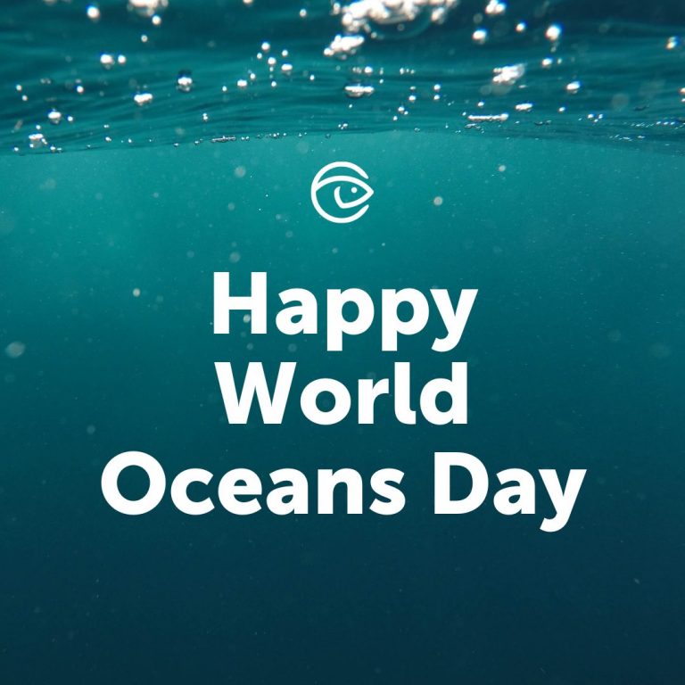 Featured image for Celebrate World Oceans Month 2022 with GSA