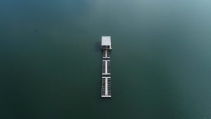 carbon capture and sequestration