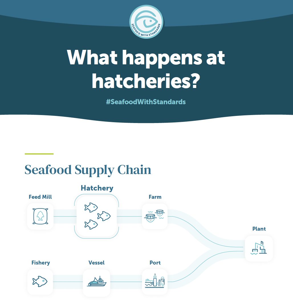 seafood hatchery infographic