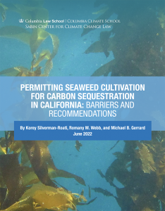 seaweed cultivation