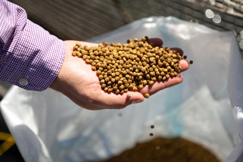 Article image for New BAP Sustainable Feed Ingredients Vanguard Standard Released for Public Comment