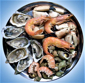 Are alternative shelf life-extending protocols effective on seafood products?