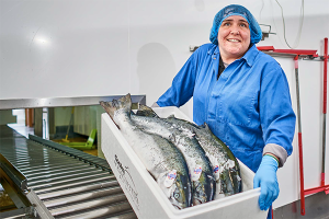 Cooke Aquaculture details the economic impact of salmon farming in Scotland