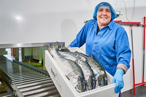 cooke aquaculture scotland