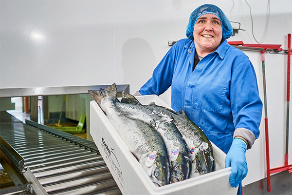 Article image for Cooke Aquaculture details the economic impact of salmon farming in Scotland