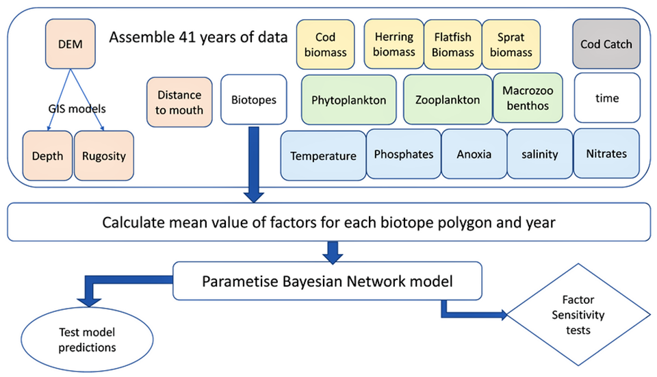 Fig. 1: Flow model of Bayesian network (BN) development. The spatial data (rounded boxes) were first checked for quality across 41 years. The data were then aggregated based on the biotope polygons for every year. The BN was then parameterized from this large dataset. The model was subsequently used to make predictions with comparison to the actual observations (oval shape). The factors that make up the model were assessed in terms of sensitivity in order to understand the model influences (diamond shape). Adapted from the original.