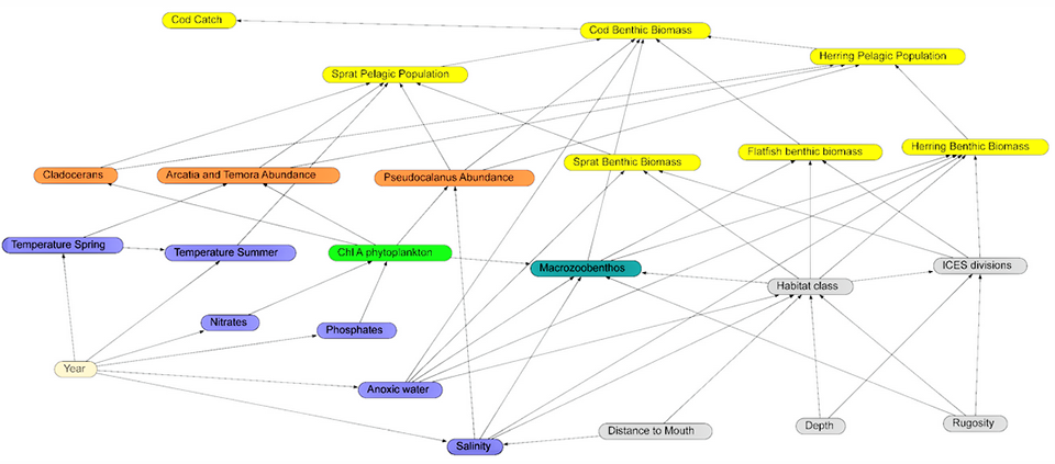 Fig. 2: The completed BN with boxes and arrows showing the parameters and dependencies included. The box colors highlight the structural (grey), environmental (purple), phytoplankton (light green), zooplankton (orange), macro-zoobenthos (brown), fish (yellow) and time (beige) components. Each arrow represents a modeled conditional probability element. The data that underpin each node in the BN are described above. Adapted from the original.