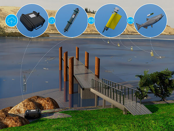 Article image for Acoustic receiver promises a faster way to track fish