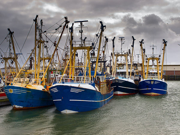 Article image for Survey: Global warming is a ‘major barrier’ to sustainable fisheries management