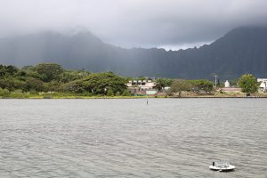 Water quality monitors aim to revive centuries-old Hawaiian fishpond