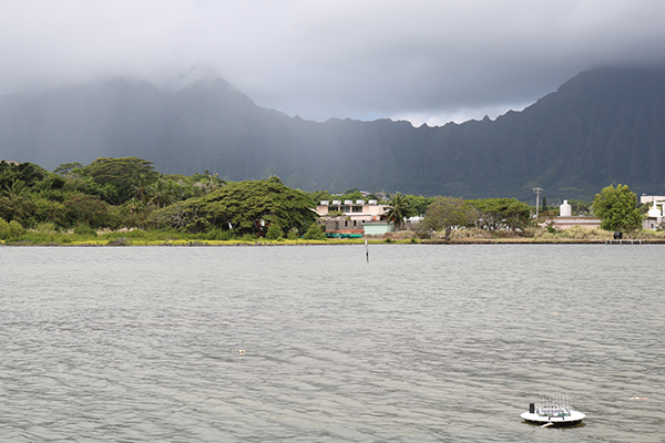 Article image for Water quality monitors aim to revive centuries-old Hawaiian fishpond