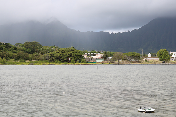 Water quality monitors aim to revive centuries-old Hawaiian