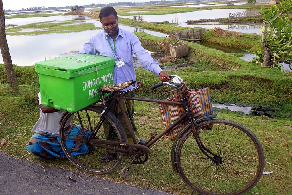 Article image for Crouching Tigers: Bangladesh shrimp farming at a critical juncture