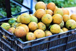Dietary passionfruit peel powder boosts Nile tilapia immunity