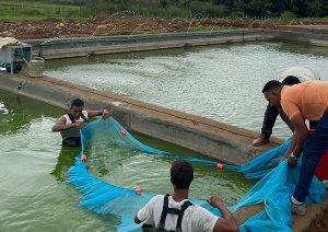 Bill and Melinda Gates Foundation partners on sustainable aquaculture projects in Africa and Asia