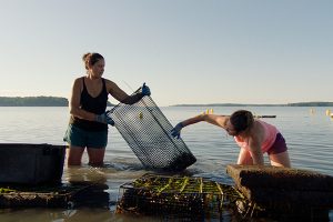 ‘Walk in like you own the place’: How inequality continues to impact women in aquaculture and the obstacles to change