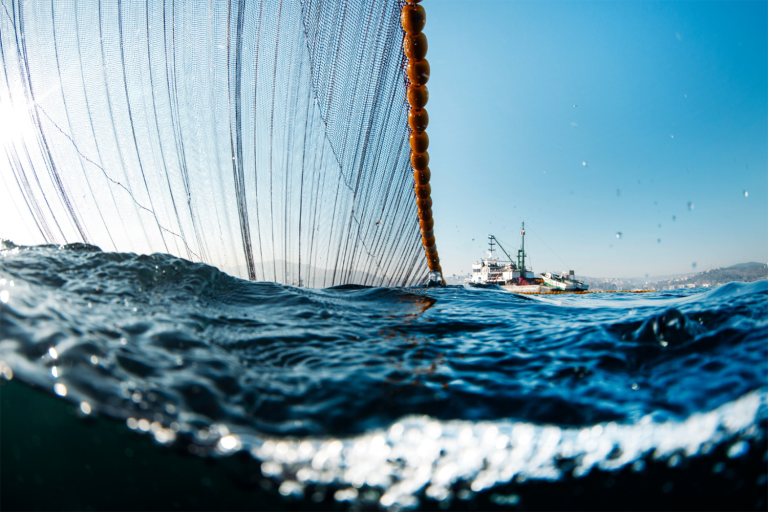 Article image for ‘They need a good reason to stay’: How one coalition may break a decade of deadlock in the North Atlantic mackerel fishery