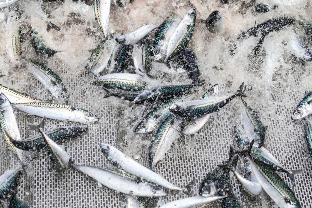 ‘They need a good reason to stay’ How one coalition may break a decade