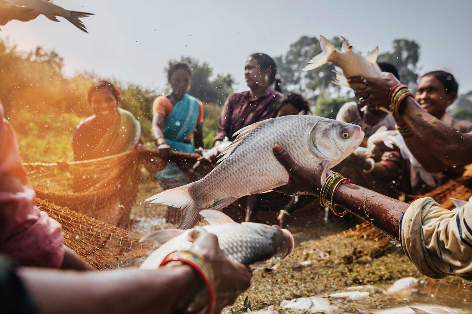 They know better than men how to protect their environment and people': How  focusing on women farmers is boosting food security in India - Responsible  Seafood Advocate