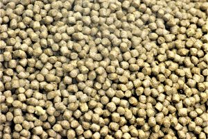 Upcycling food system byproducts in livestock and aquaculture feeds