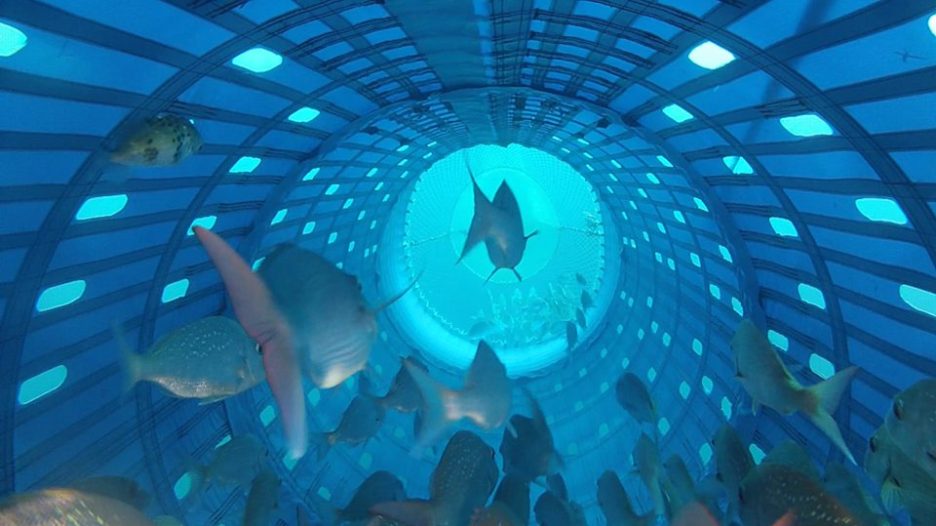 Cod End ‘We were just looking for a way to fish better’: How one partnership is ...