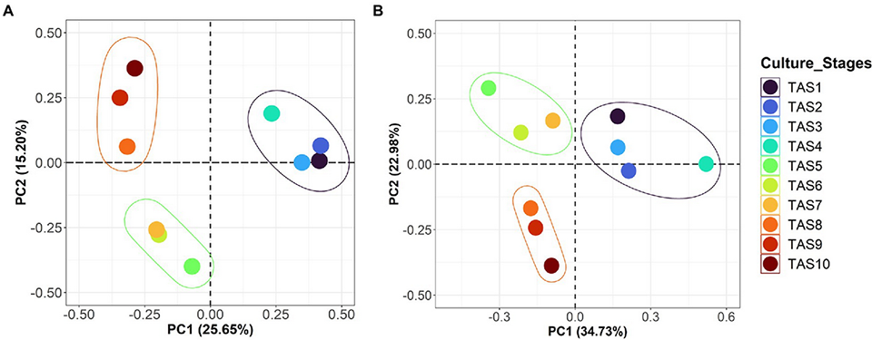 Fig. 2: Compositional variations of bacterioplankton community in rearing water. Principal coordinate analysis (PCoA) plots represent diversity variations in rearing water samples collected across various culture stages from a commercial BFT-based aquaculture system. The designated sample IDs (TAS1 to TAS10) represent shrimp <em>L. vannamei</em> culture stages in terms of their growth days 6, 20, 34, 48, 69, 83, 104, 118, 132, and 146, respectively, in culture Tank 1.