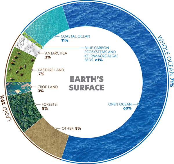 Composition of Earth’s surface area