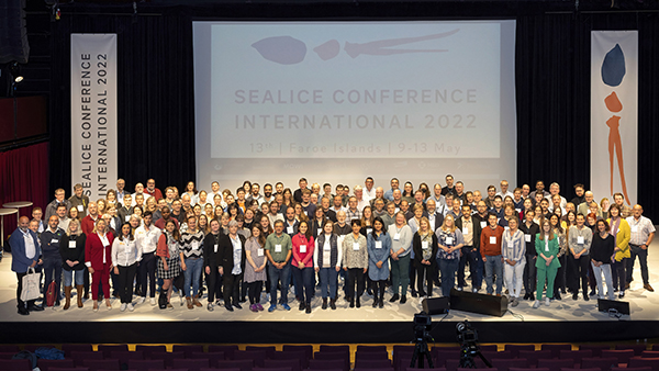 Article image for Scotland wins bid to host international sea lice summit