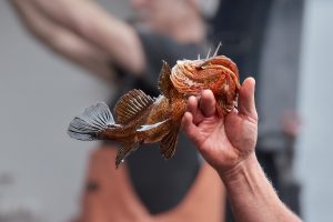 How artisanal fisheries can challenge typical parameters of success