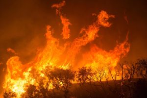 How wildfires – and efforts to stop them – threaten marine ecosystems and aquaculture