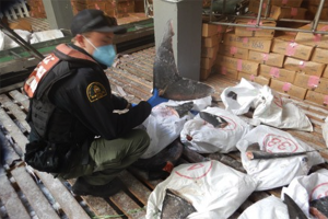 Canadian government combats IUU fishing with Operation North Pacific Guard